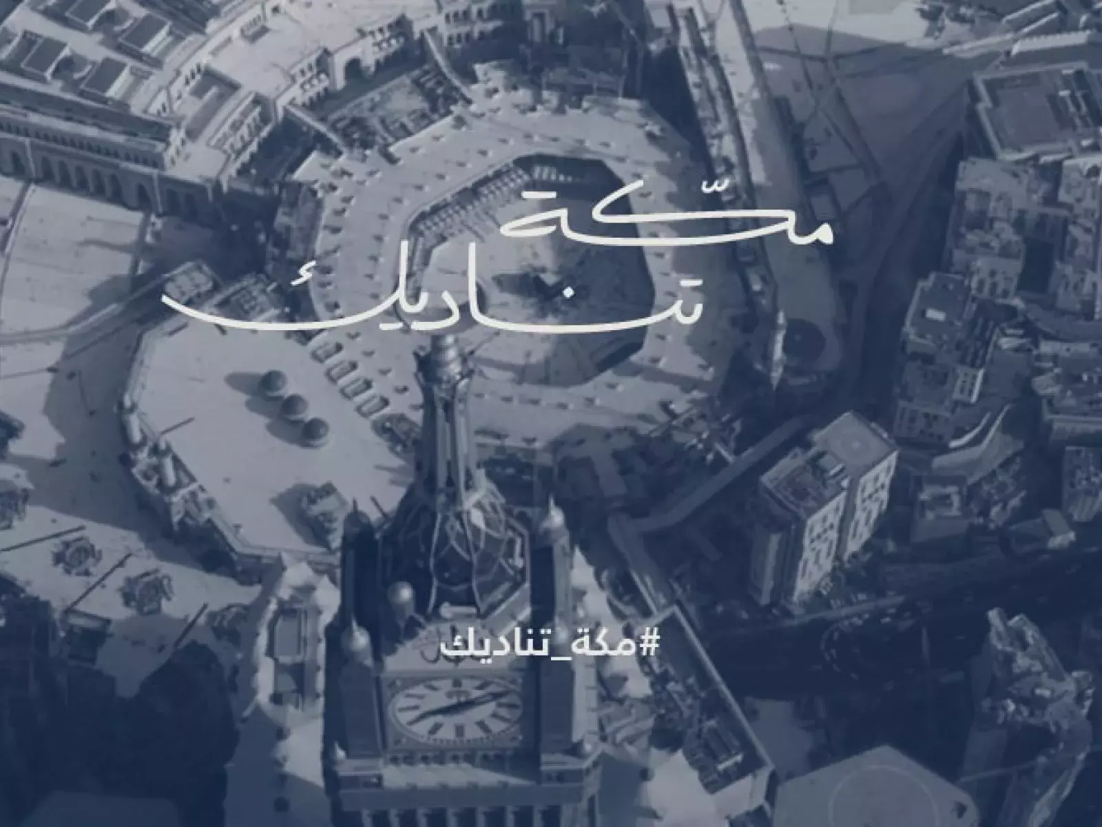 homepage 2